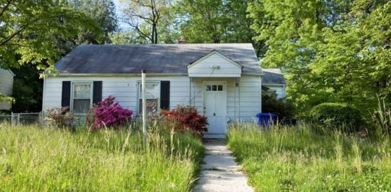 overgrown backyard
