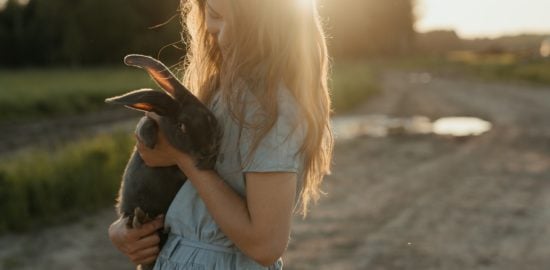 Best Ethical Practices for Owning a Pet