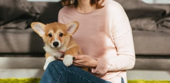 3 Ways Dogs Can Help Cancer Patients Cope With Treatment