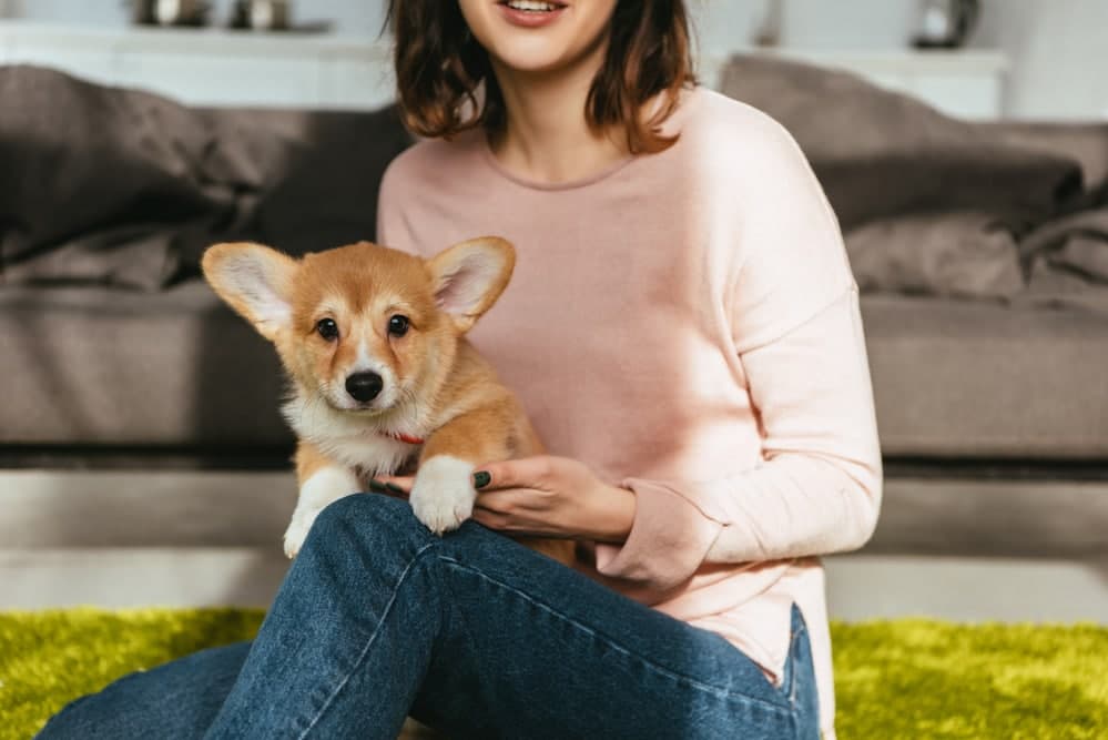 3 Ways Dogs Can Help Cancer Patients Cope With Treatment