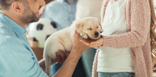 7 Responsible Ways to Teach Children How to Care for a Puppy