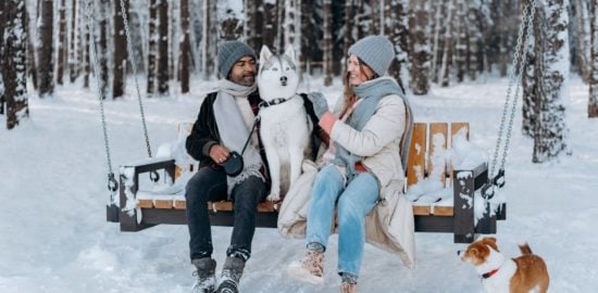 6 Simple Tips for Making Custom Outdoor Clothing for Your Dogs