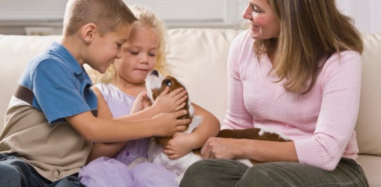 A Pet Parent's Guide to Introducing a New Puppy to a Household