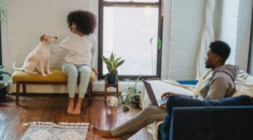 How to Combine a Love of Pets with a Passion for Business
