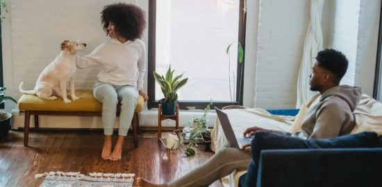 How to Combine a Love of Pets with a Passion for Business