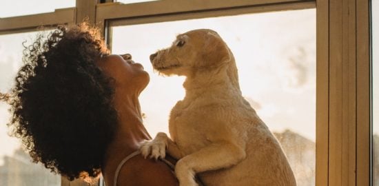 4 Major Similarities Between Canine and Human Dental Care