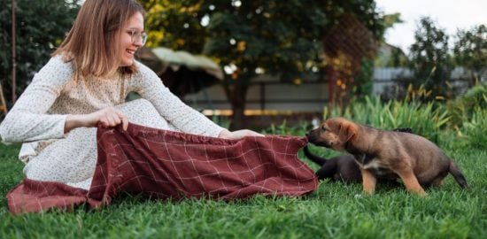 7 Precious Ideas for Including Pets on Your Wedding Day