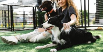 6 Simple Ways Dog Owners Can Make Backyards a Safer Space