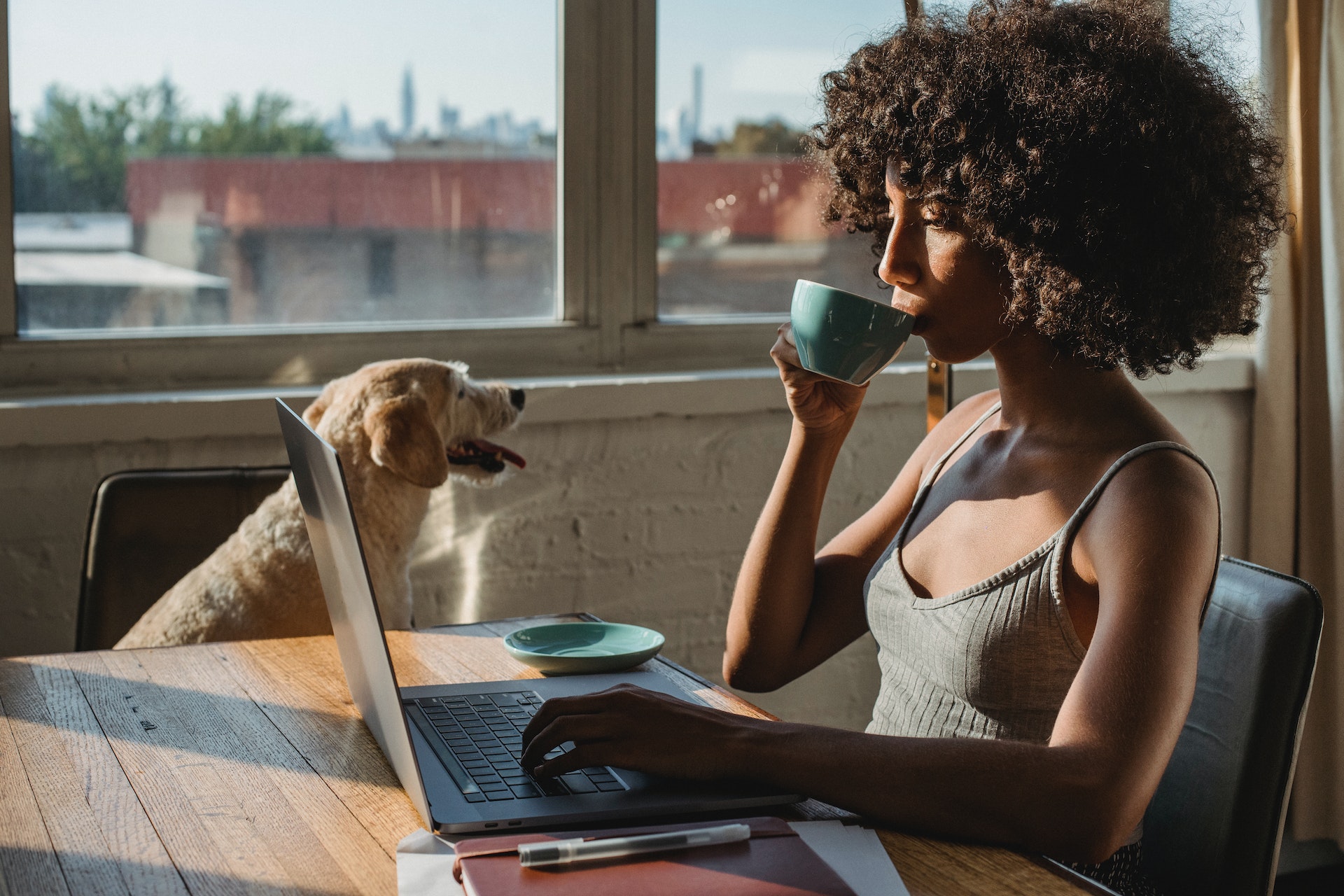 7 Benefits of Allowing Employees to Bring Their Dogs to Work