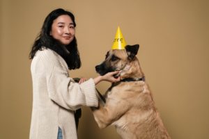8 Benefits of a Dog Receiving Private Obedience Training