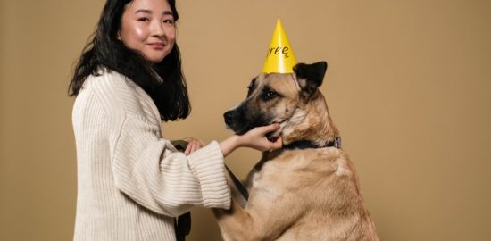 8 Benefits of a Dog Receiving Private Obedience Training