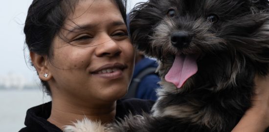 8 Marketing Tips Rescues Should Use to Help Find Pets Homes