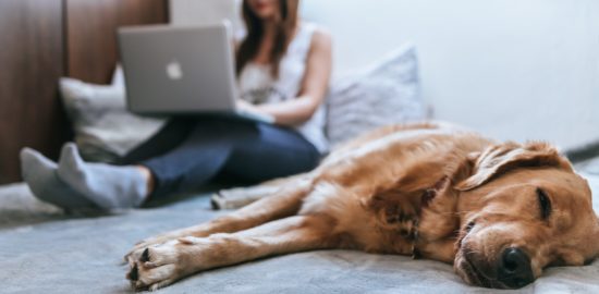 5 Benefits of Letting Your Pets Sleep With You