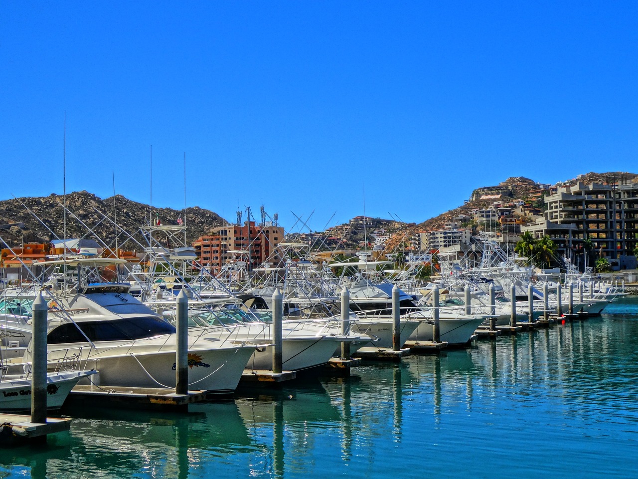 Image by Ignacio Yero from Pixabay