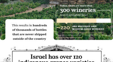 israel wines