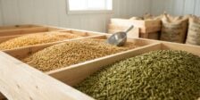 animal feed