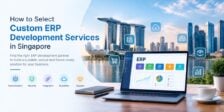 ERP Development Singapore