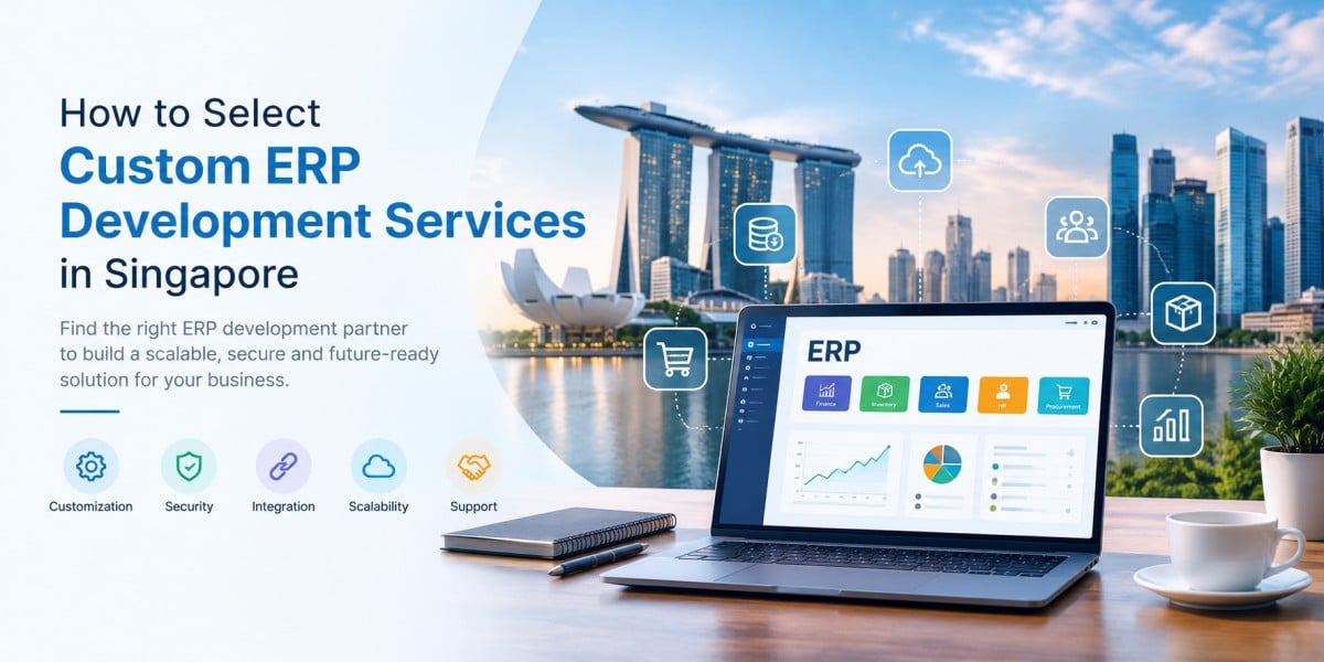 ERP Development Singapore